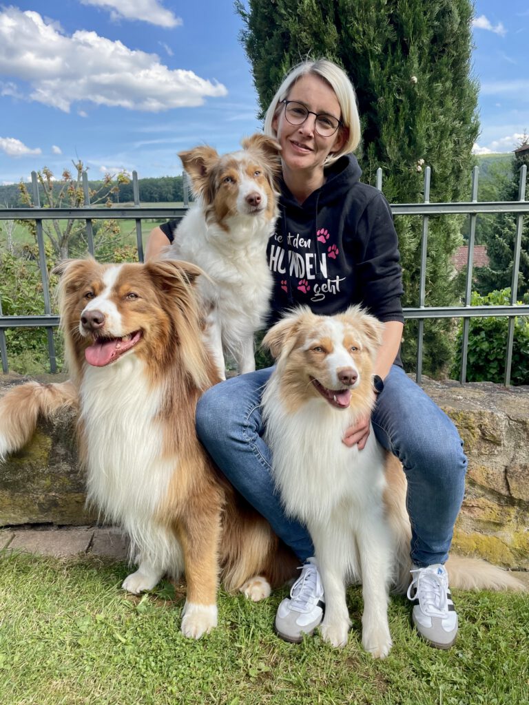 Hunde und Biene